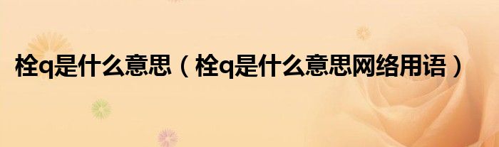栓q是什么意思(栓q是什么意思网络用语)