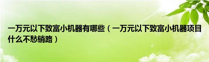 一万元以下致富小机器有哪些(一万元以下致富小机器项目什么不愁销路)