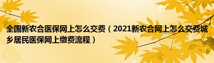 全国新农合医保网上怎么交费(2021新农合网上怎么交费城乡居民医保网上缴费流程)