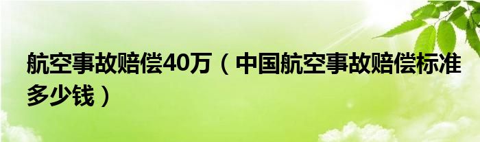 航空事故赔偿40万(中国航空事故赔偿标准多少钱)