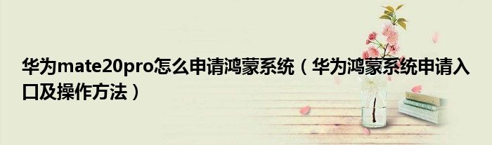 华为mate20pro怎么申请鸿蒙系统(华为鸿蒙系统申请入口及操作方法)