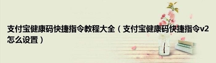 支付宝健康码快捷指令教程大全(支付宝健康码快捷指令v2怎么设置)