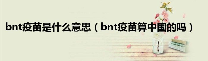 bnt疫苗是什么意思(bnt疫苗算中国的吗)