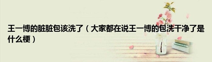 王一博的脏脏包该洗了(大家都在说王一博的包洗干净了是什么梗)