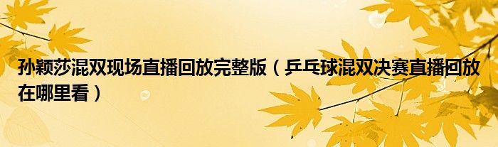 孙颖莎混双现场直播回放完整版(乒乓球混双决赛直播回放在哪里看)