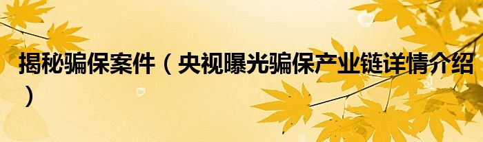 揭秘骗保案件(央视曝光骗保产业链详情介绍)