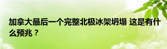 加拿大最后一个完整北极冰架坍塌 这是有什么预兆？