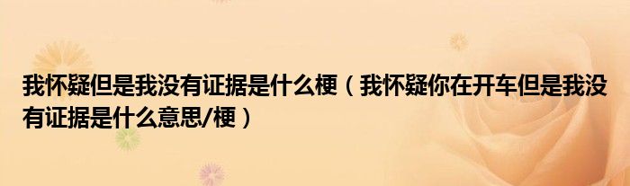 我怀疑但是我没有证据是什么梗(我怀疑你在开车但是我没有证据是什么意思/梗)