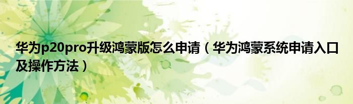 华为p20pro升级鸿蒙版怎么申请(华为鸿蒙系统申请入口及操作方法)