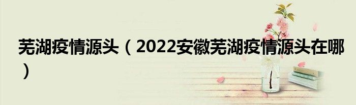 芜湖疫情源头(2022安徽芜湖疫情源头在哪)