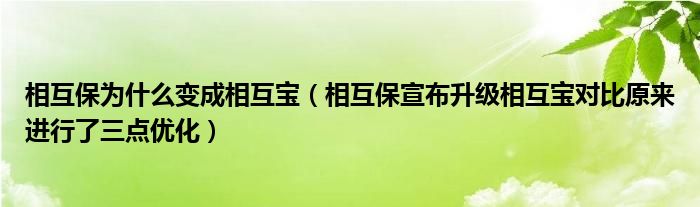 相互保为什么变成相互宝(相互保宣布升级相互宝对比原来进行了三点优化)