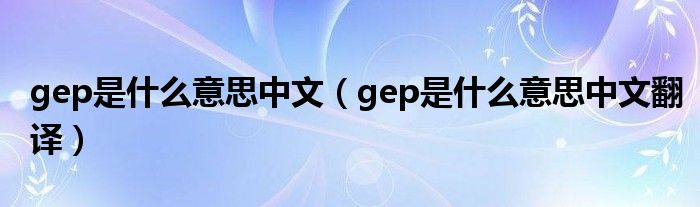 gep是什么意思中文(gep是什么意思中文翻译)