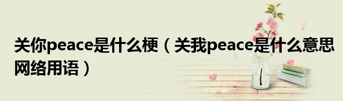 关你peace是什么梗(关我peace是什么意思网络用语)