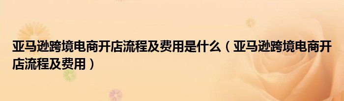 亚马逊跨境电商开店流程及费用是什么(亚马逊跨境电商开店流程及费用)