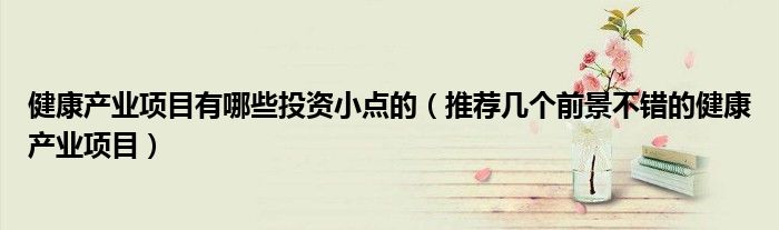 健康产业项目有哪些投资小点的(推荐几个前景不错的健康产业项目)