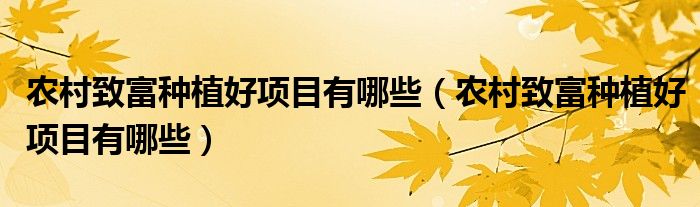 农村致富种植好项目有哪些(农村致富种植好项目有哪些)
