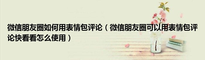 微信朋友圈如何用表情包评论(微信朋友圈可以用表情包评论快看看怎么使用)