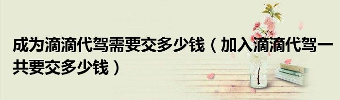 成为滴滴代驾需要交多少钱(加入滴滴代驾一共要交多少钱)