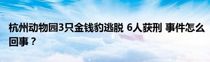 杭州动物园3只金钱豹逃脱 6人获刑 事件怎么回事?