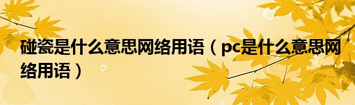 碰瓷是什么意思网络用语(pc是什么意思网络用语)