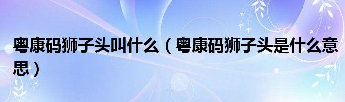 粤康码狮子头叫什么(粤康码狮子头是什么意思)