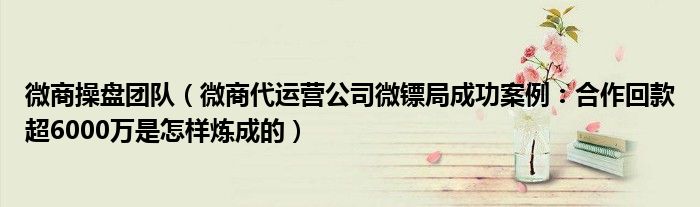 微商操盘团队(微商代运营公司微镖局成功案例:合作回款超6000万是怎样炼成的)