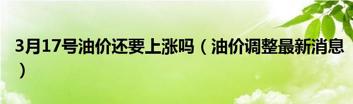 3月17号油价还要上涨吗(油价调整最新消息)