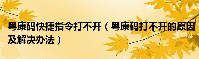 粤康码快捷指令打不开(粤康码打不开的原因及解决办法)