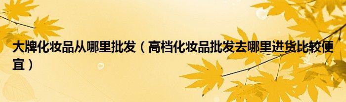 大牌化妆品从哪里批发(高档化妆品批发去哪里进货比较便宜)