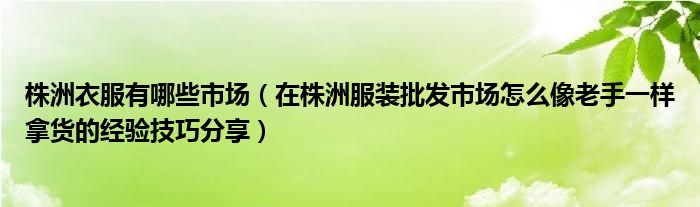 株洲衣服有哪些市场(在株洲服装批发市场怎么像老手一样拿货的经验技巧分享)
