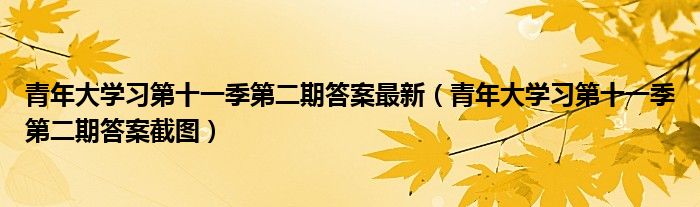 青年大学习第十一季第二期答案最新(青年大学习第十一季第二期答案截图)