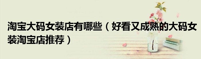 淘宝大码女装店有哪些(好看又成熟的大码女装淘宝店推荐)