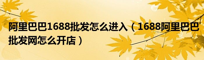 阿里巴巴1688批发怎么进入(1688阿里巴巴批发网怎么开店)