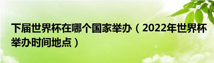 下届世界杯在哪个国家举办(2022年世界杯举办时间地点)