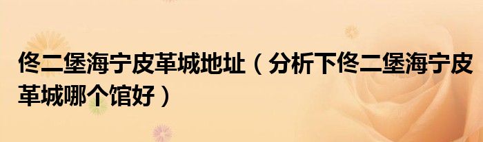 佟二堡海宁皮革城地址(分析下佟二堡海宁皮革城哪个馆好)