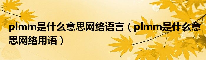 plmm是什么意思网络语言(plmm是什么意思网络用语)