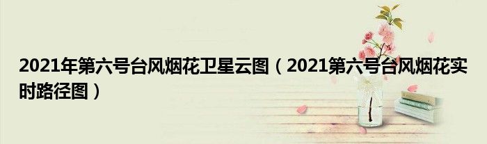 2021年第六号台风烟花卫星云图(2021第六号台风烟花实时路径图)
