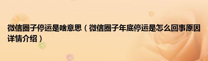 微信圈子停运是啥意思(微信圈子年底停运是怎么回事原因详情介绍)
