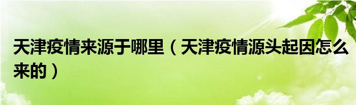 天津疫情来源于哪里(天津疫情源头起因怎么来的)