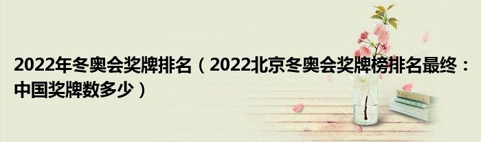2022年冬奥会奖牌排名(2022北京冬奥会奖牌榜排名最终:中国奖牌数多少)