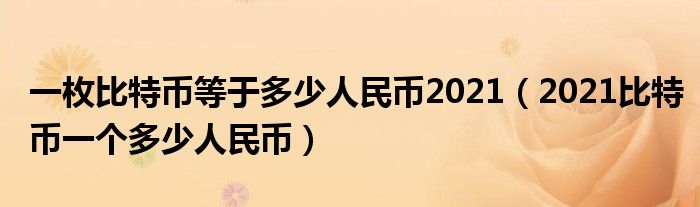 一枚比特币等于多少人民币2021(2021比特币一个多少人民币)