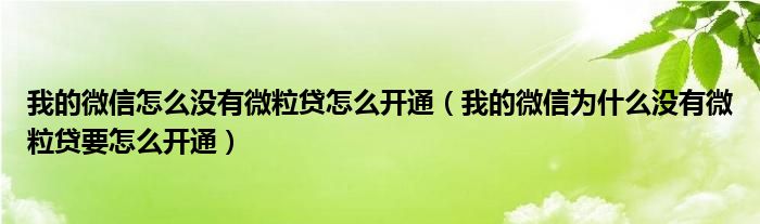 我的微信怎么没有微粒贷怎么开通（我的微信为什么没有微粒贷要怎么开通）