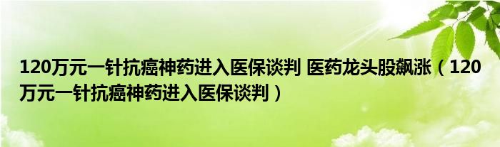 120万元一针抗癌神药进入医保谈判 医药龙头股飙涨(120万元一针抗癌神药进入医保谈判)