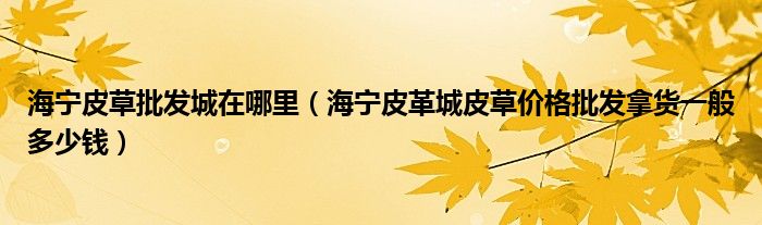 海宁皮草批发城在哪里(海宁皮革城皮草价格批发拿货一般多少钱)