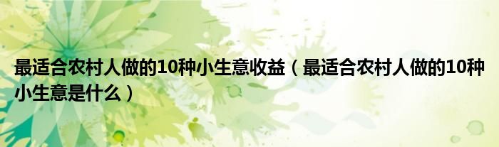 最适合农村人做的10种小生意收益(最适合农村人做的10种小生意是什么)