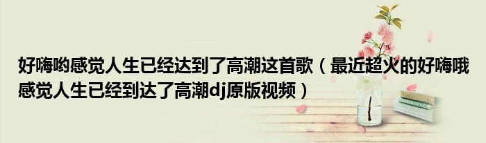 好嗨哟感觉人生已经达到了高潮这首歌(最近超火的好嗨哦感觉人生已经到达了高潮dj原版视频)