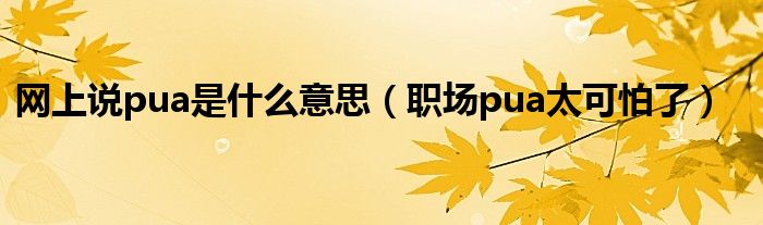 网上说pua是什么意思(职场pua太可怕了)