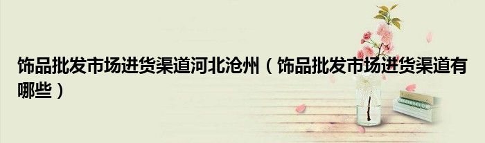 饰品批发市场进货渠道河北沧州(饰品批发市场进货渠道有哪些)