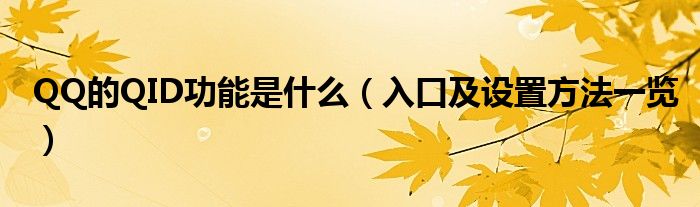 QQ的QID功能是什么(入口及设置方法一览)