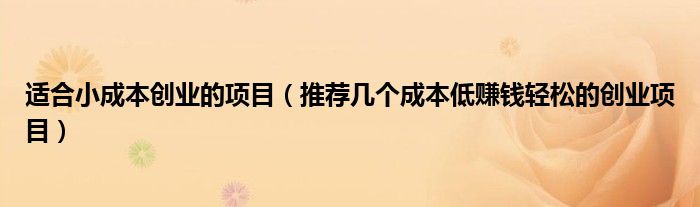 适合小成本创业的项目(推荐几个成本低赚钱轻松的创业项目)